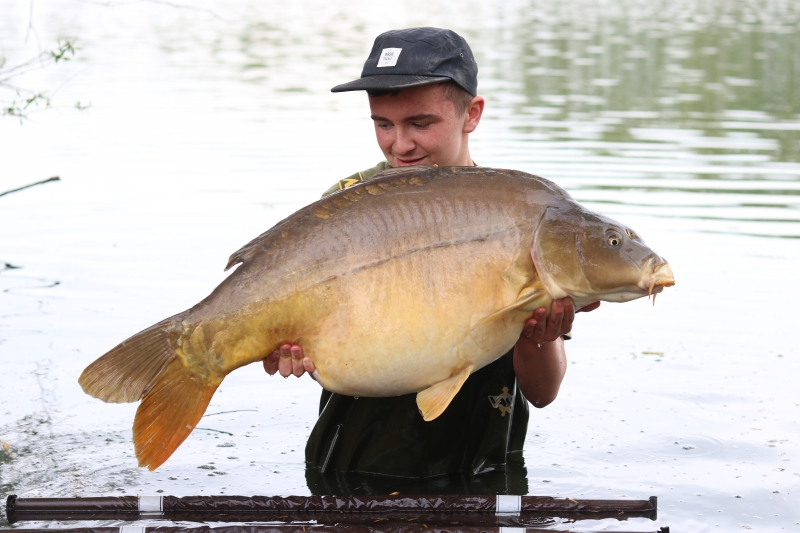 Connor 40lb