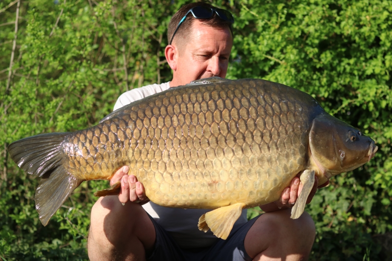 Wayne 48lb