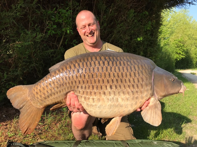 Graham 55lb