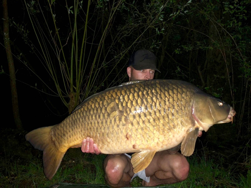 Ian 41lb