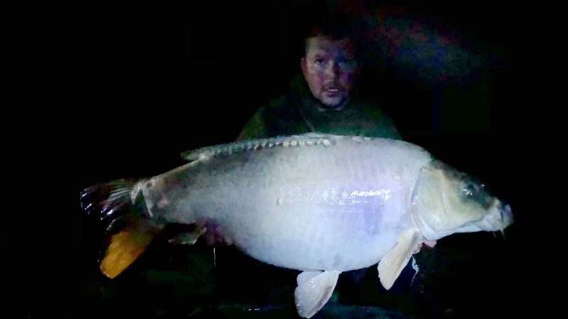 Mark Camp 36lb