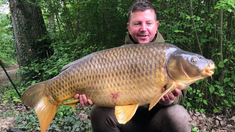 Mark Camp 40lb