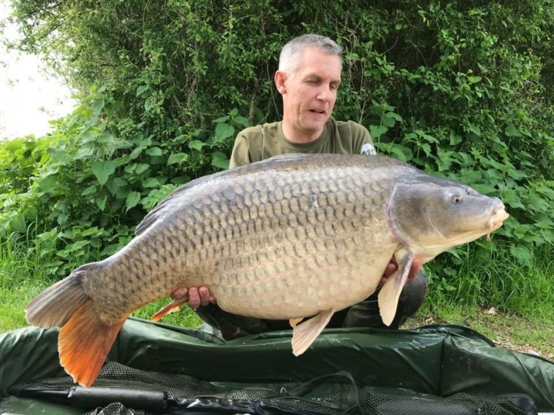 Stuart Barge 56lb 