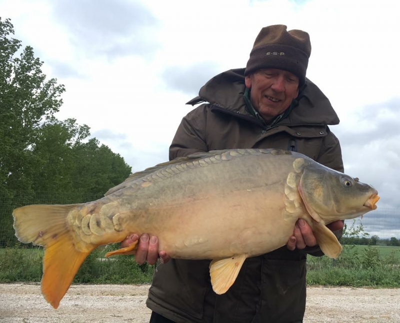 Clifford Mould 20lb 