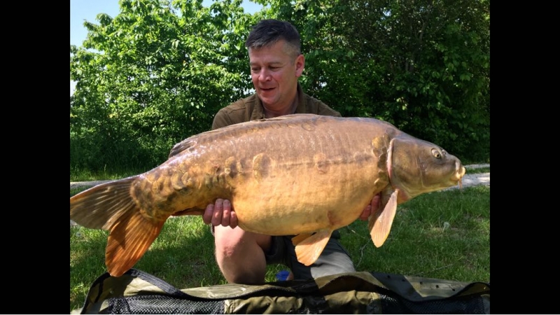 Scott Greathead 39lb