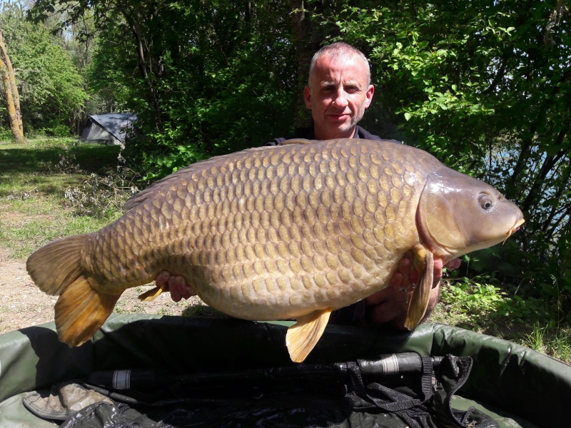 Scott McGregor 52lb