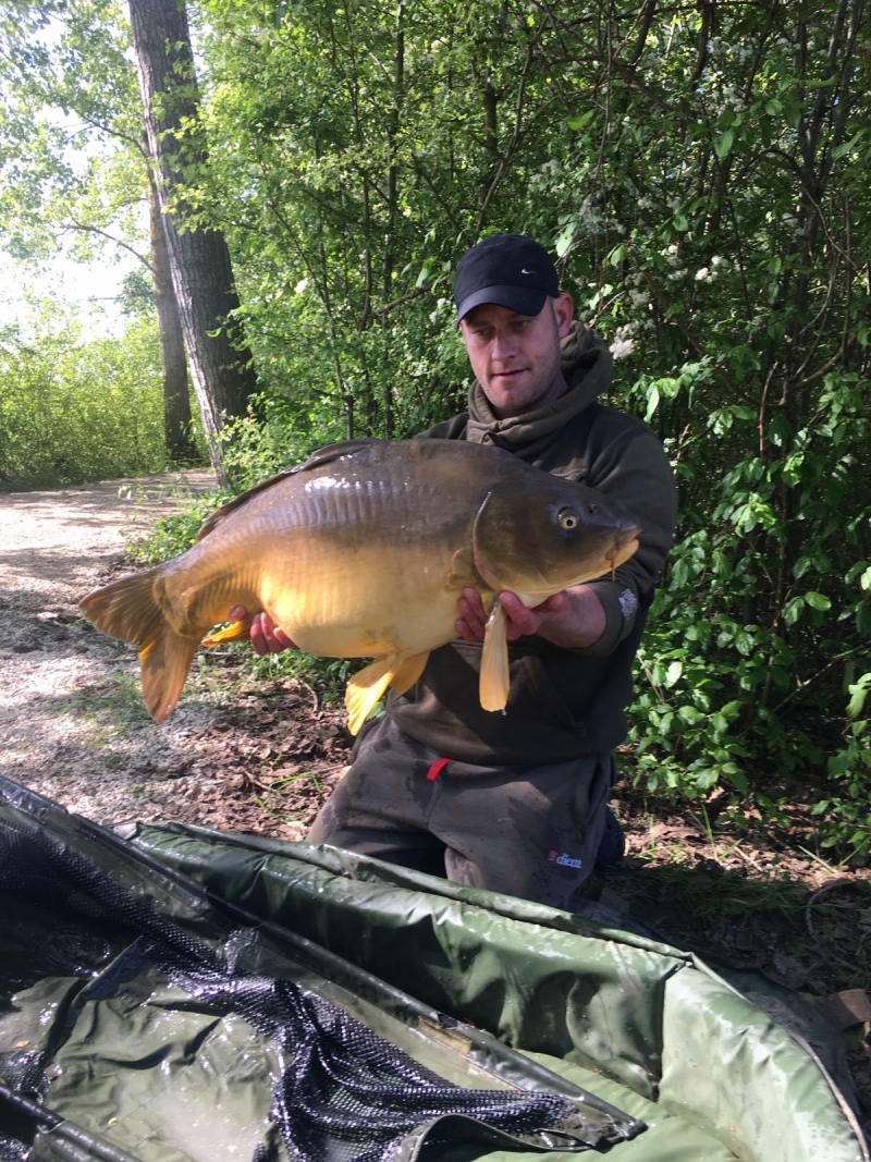 Simon Ward 38lb