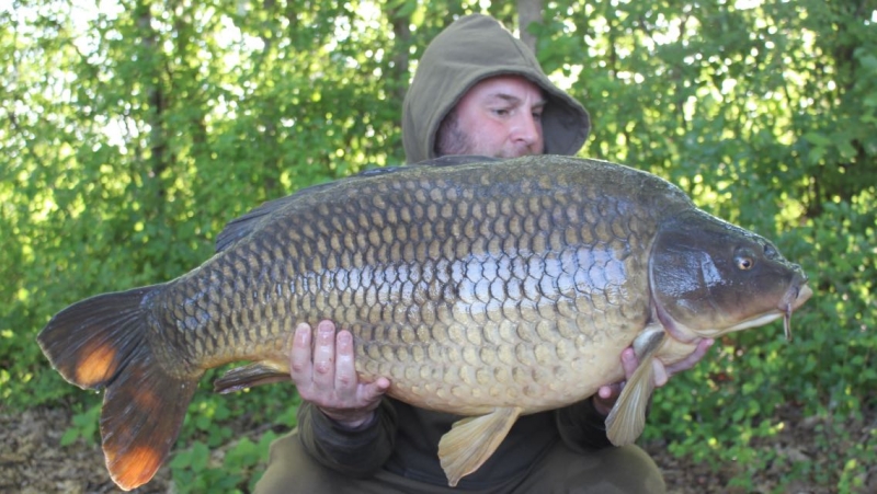 Peter jeffro Alderton 43lb