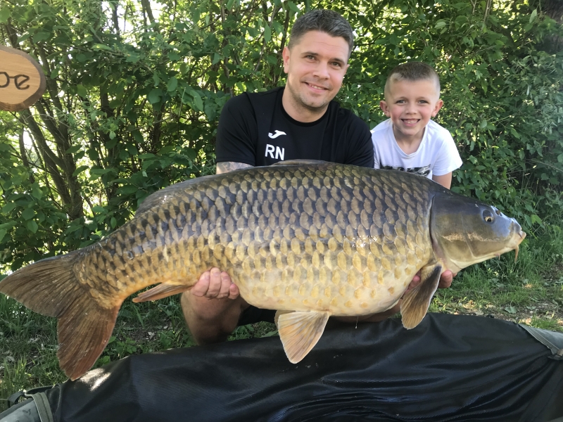 Ross 54lb