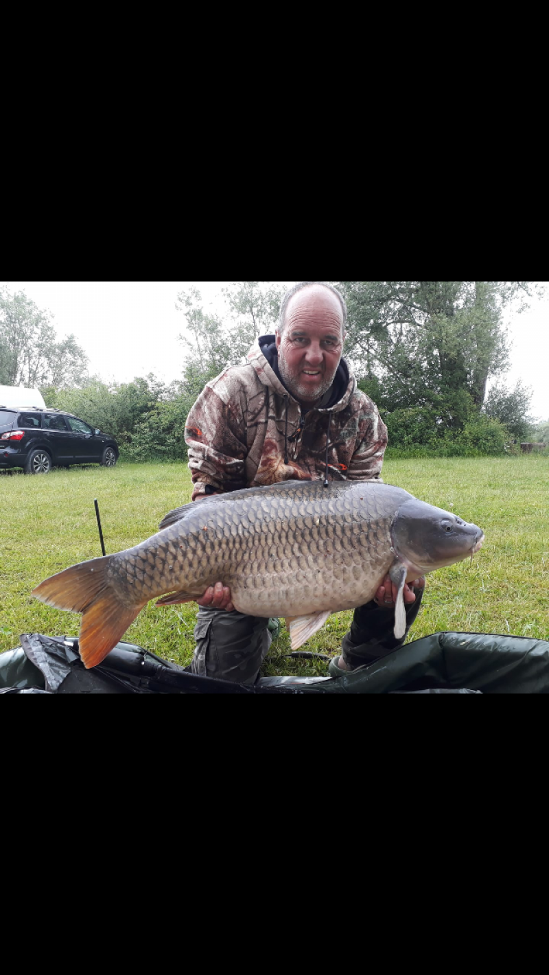 Warren Foster 41lb