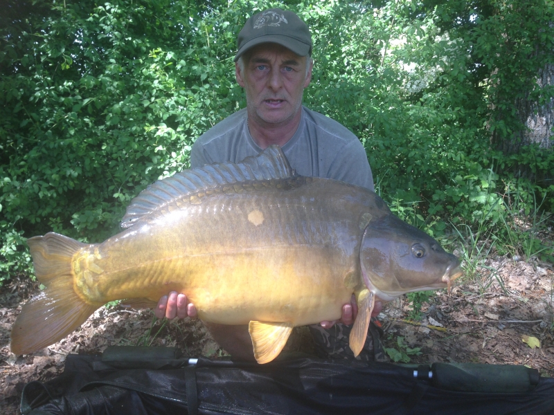 Warren Foster 48lb