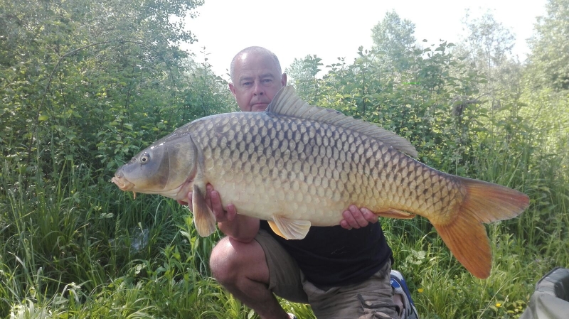 Dave Shaw 31lb