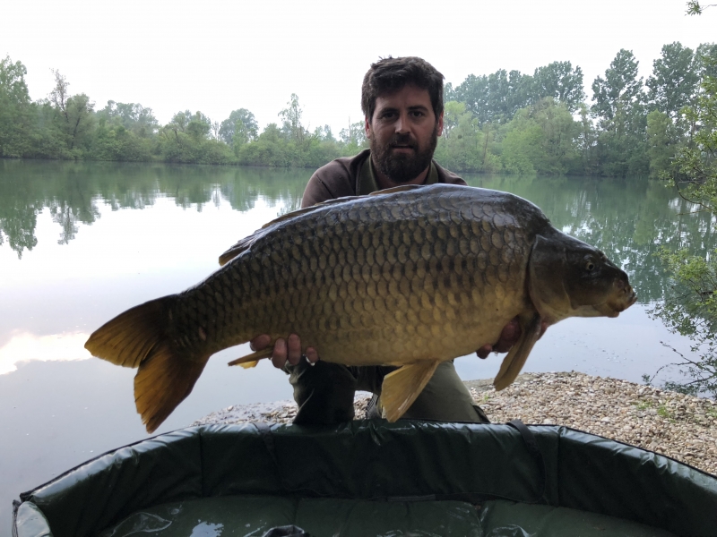 Daniel Eden 37lb