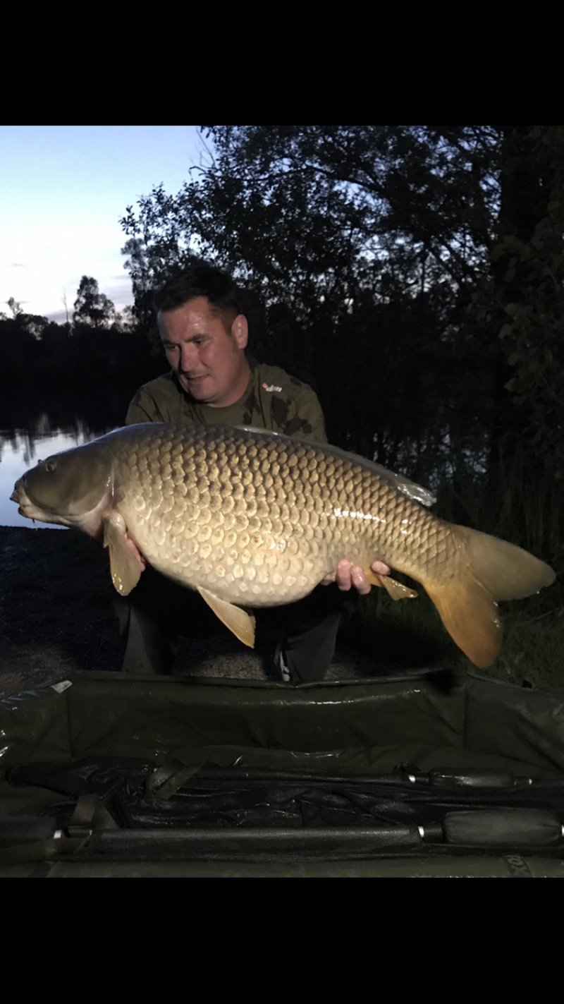 Ed Camron 35lb common