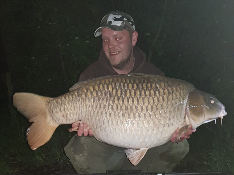 Lewis Jackson 54lb common