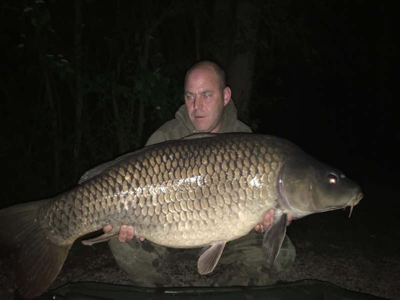 Our Kev 49lb common