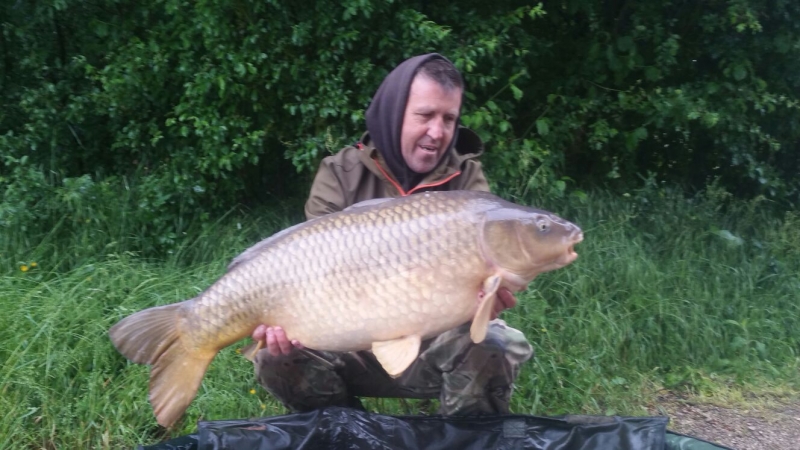 Stuart Carpenter 40lb 