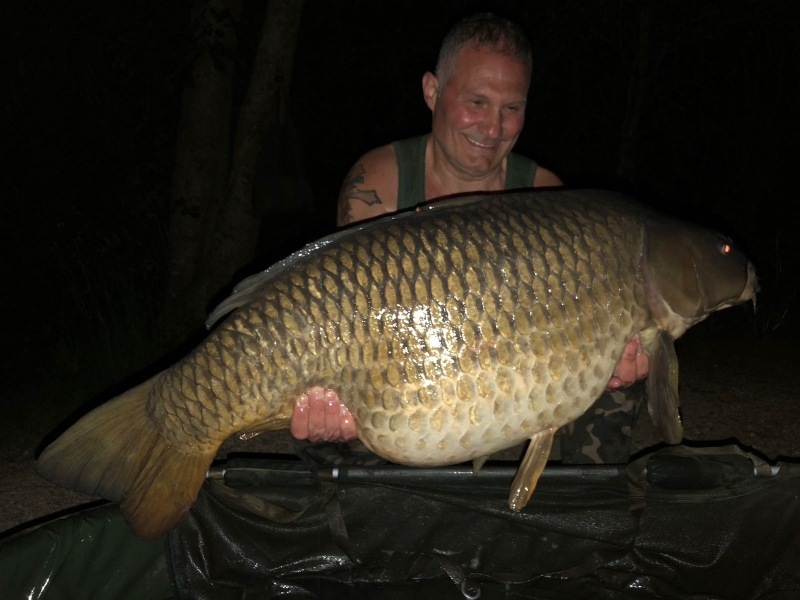 Bruno Paccinella 49lb 15oz common