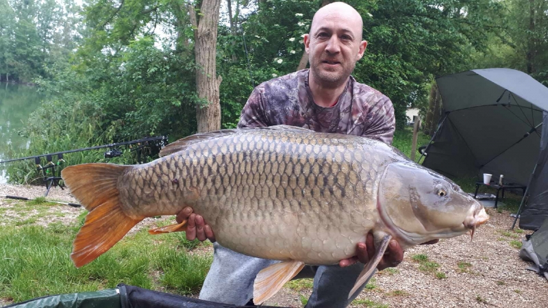 Clive Pelser 45lb common