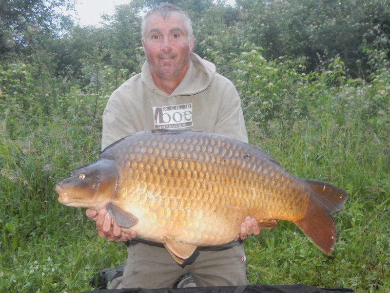 Paul Dawson 28lb common