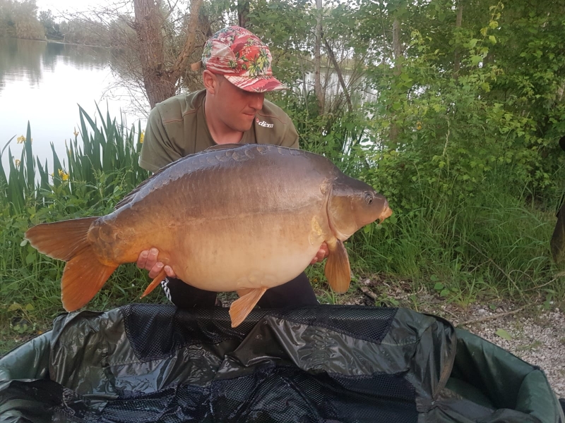 Scott Hinchcliffe 41lb