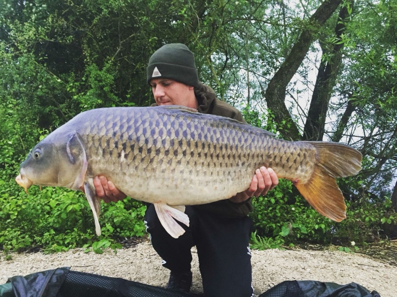 Scott Hinchcliffe 41lb