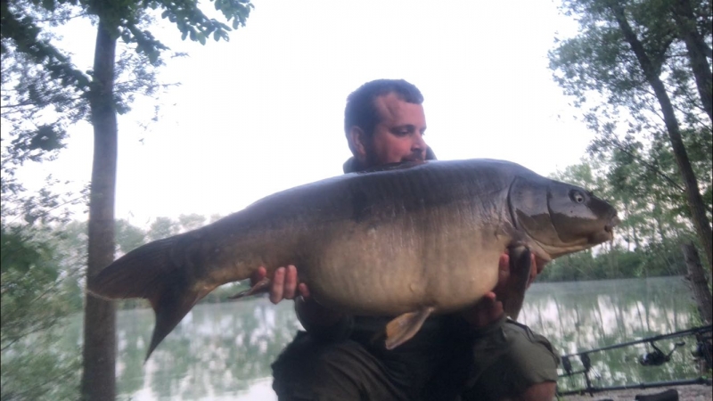 Simon Johns 36lb