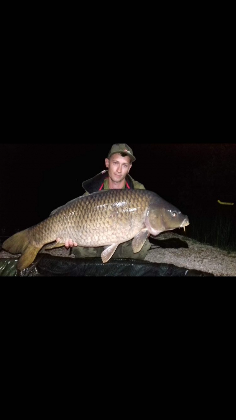 Thomas palmer 40lb