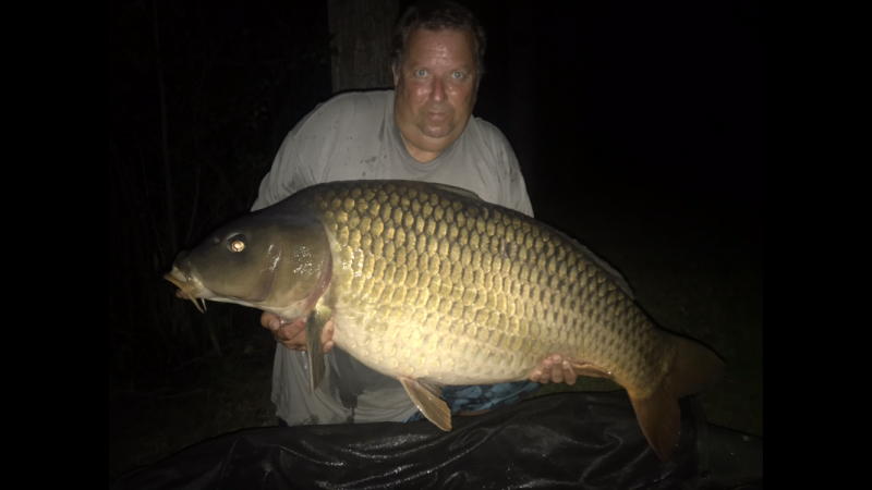 Stu 64lb