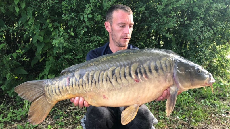 Mark Ellis 28lb