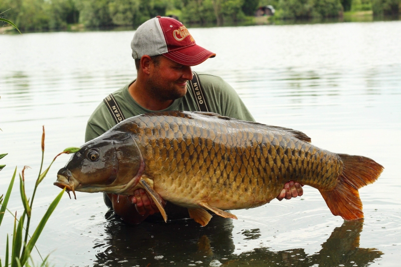 Lee Griffin 50lb common