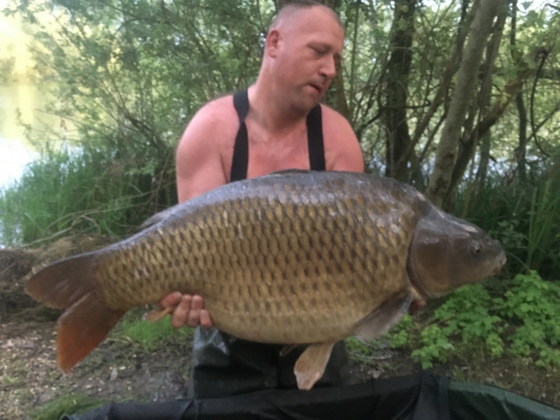 Wayne Brunton 47lb common