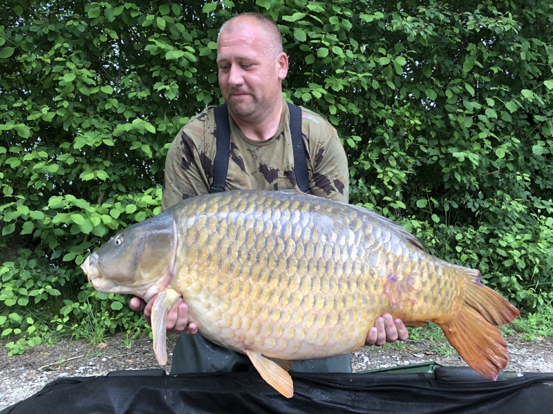 Wayne Brunton 58lb common