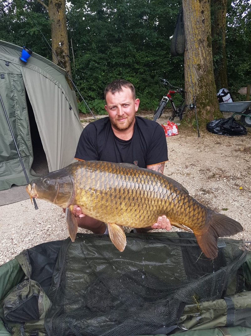 Ashley Parry 34lb common