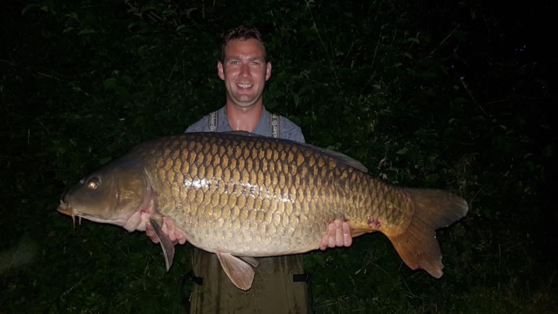 bobby hodgkin 50lb common