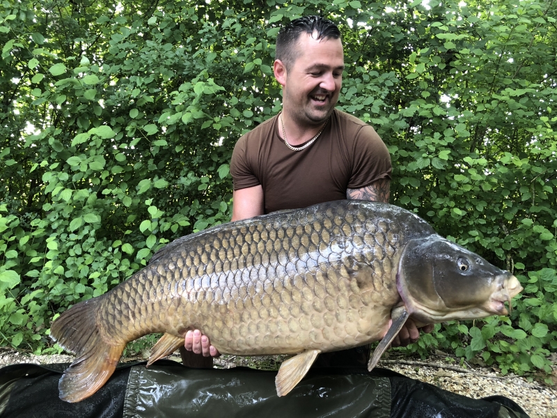 Daniel Grey 72lb 4oz VENUS