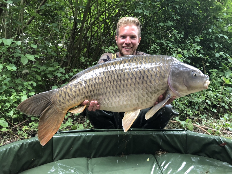 George eldridge 35lb common