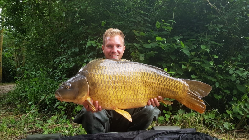 geroge eldridge 33lb common