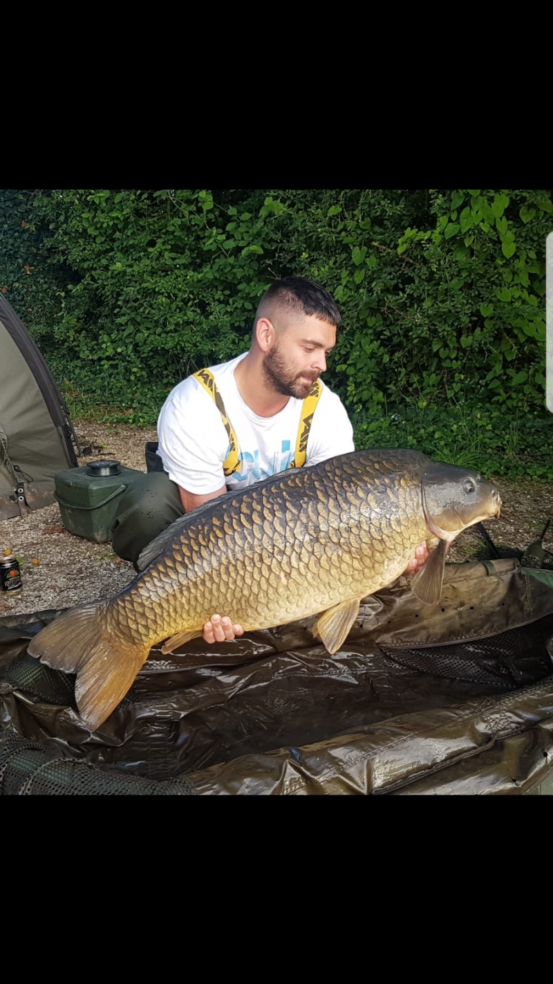 matt davis 48lb common