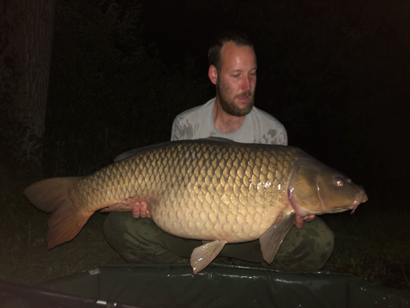 ryan tucker 52lb common