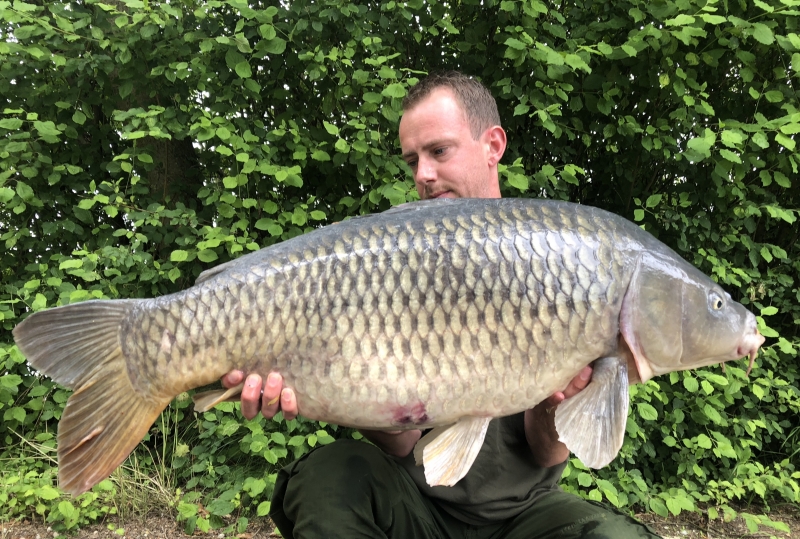 Weeman 33lb common