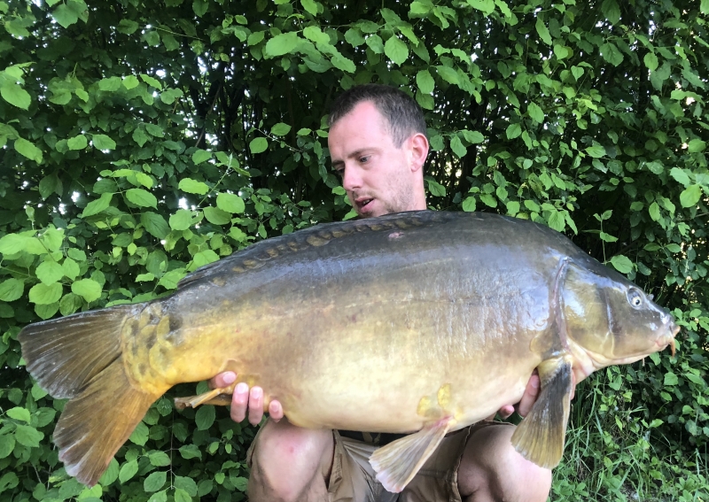 Weeman 35lb mirror