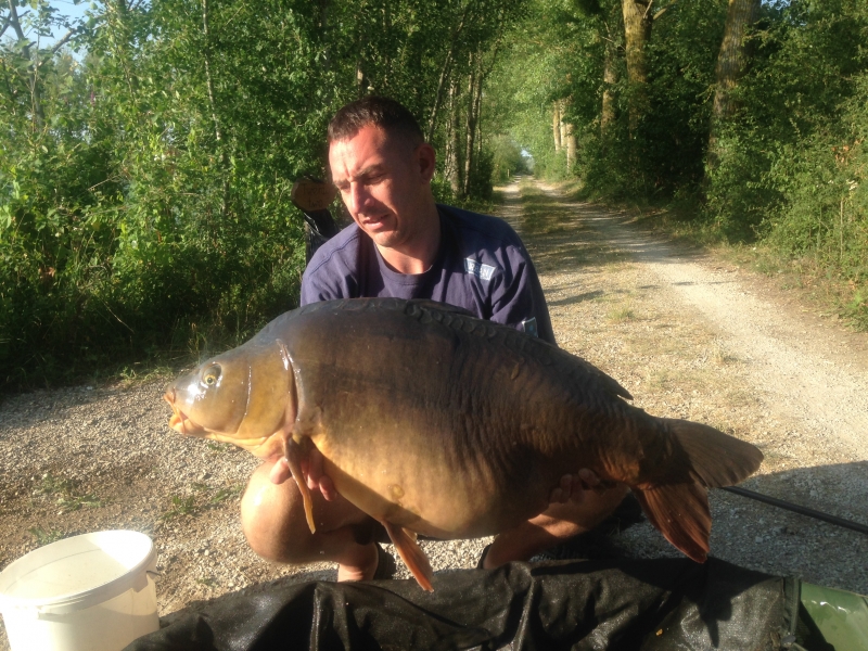 Aron Wonder 49lb