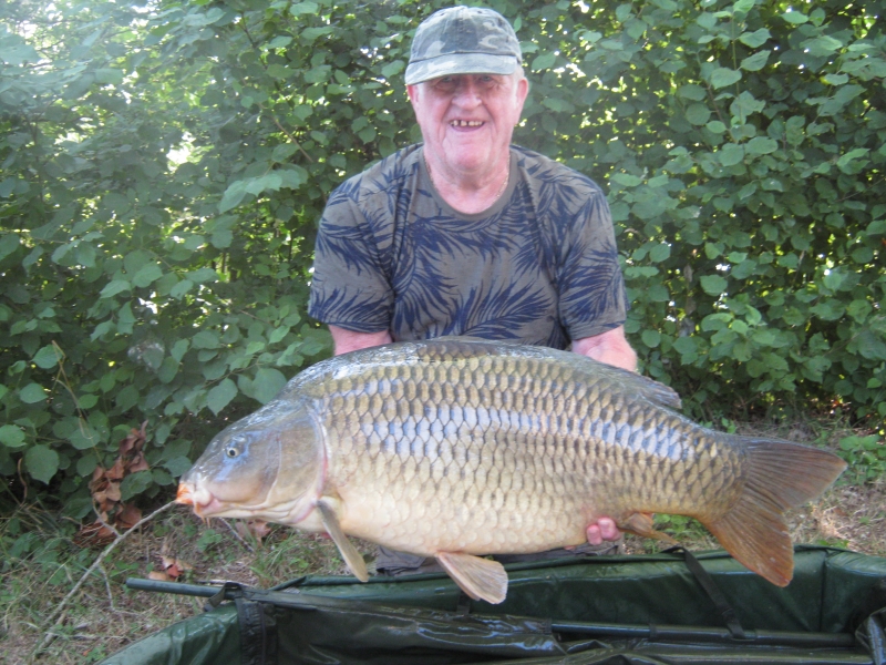 Shepard 38lb common