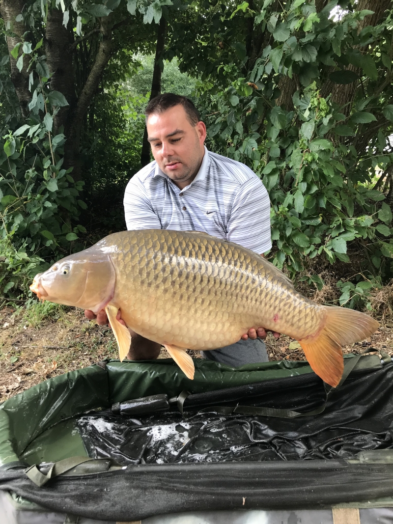 Dan 40lb common