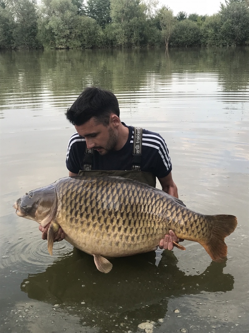 Steven Philpott 52lb common