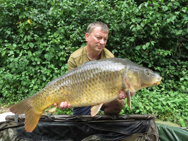 Colin Taylor 34lb common