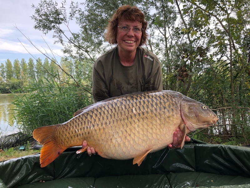 Anne Marie Smith 49lb common