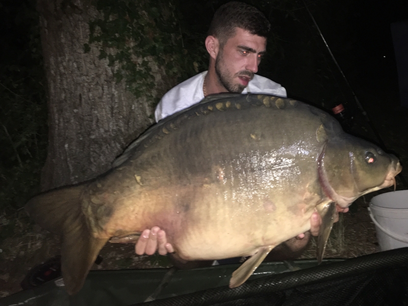 Daren Merchant 40lb