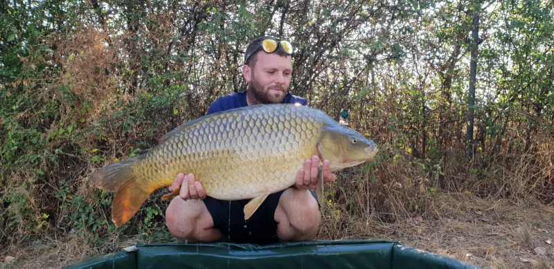 Wayne Harris 26lb